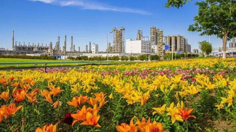 功能化学品定制开发，如何从需求到成品？**