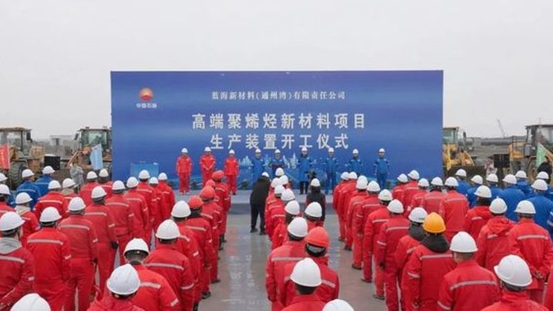 合规性：添加剂选型的首要标准